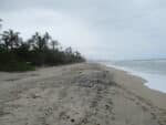 Photo of the beach at Playa Costeño.