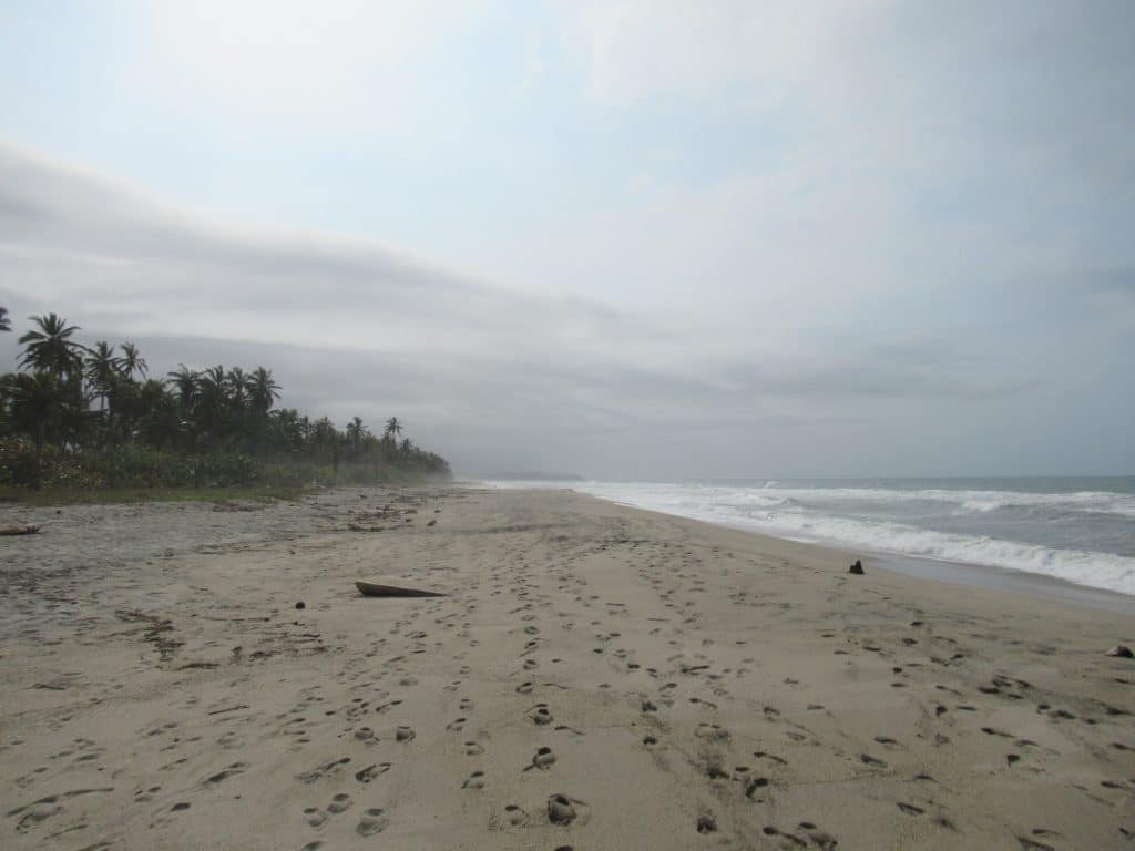 Photo of a beach with some footprints and the water and trees in the background at Playa Costeño, Colombia.