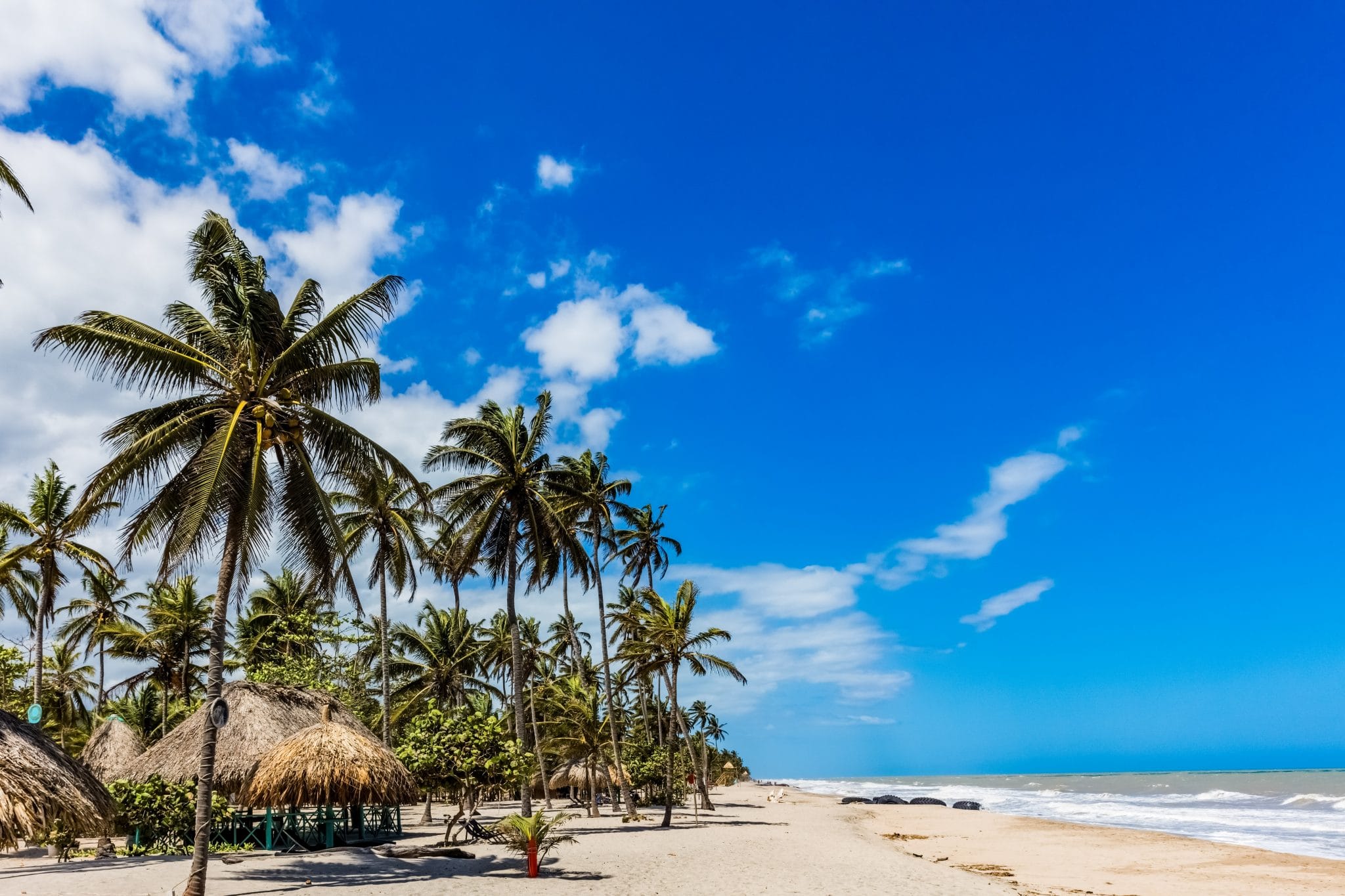 palomino colombia travel