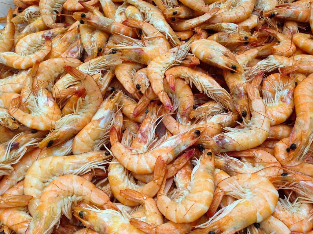 Foto de muchos camarones crudos.