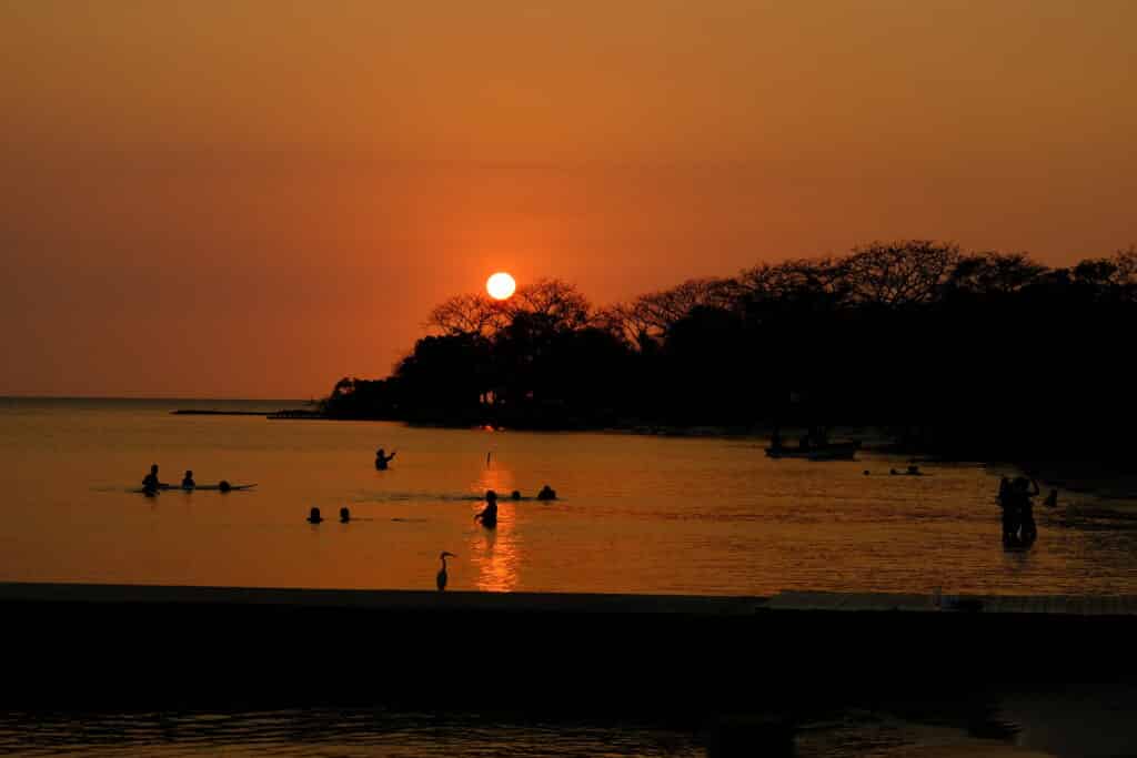 Photo the sunset over some trees in front of the water with people swimming in the water in the foreground.