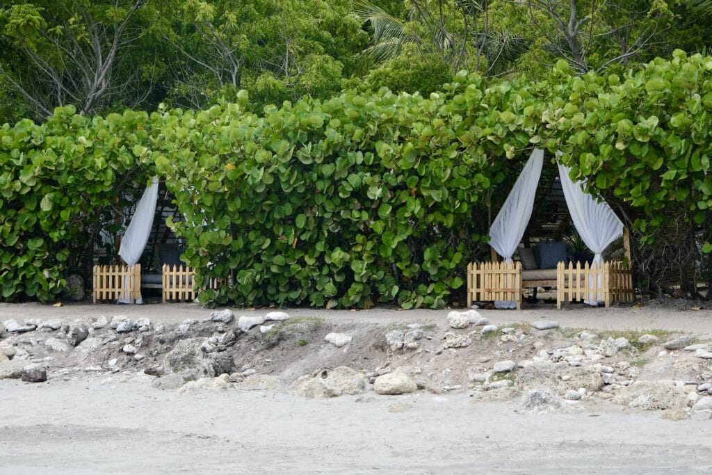 Foto de dos camitas de playa en Cartagena.