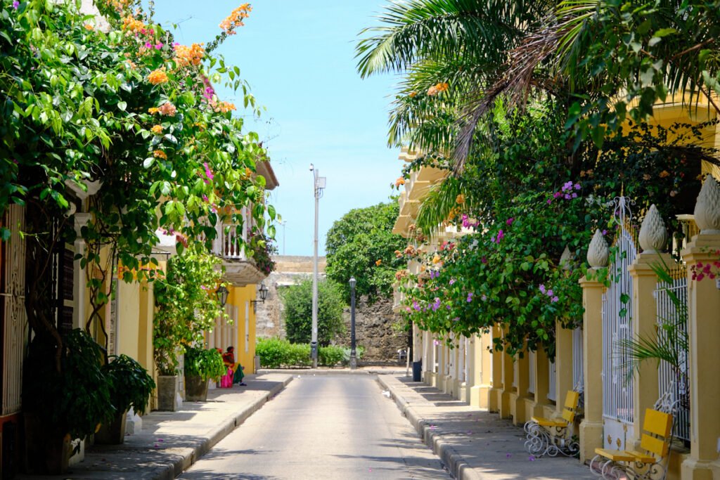 Photo of a street with flows overhanging during a tour in Cartagena.