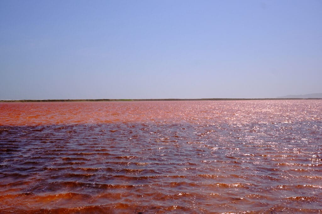 Foto del agua del Mar Rosado Galerzamba.
