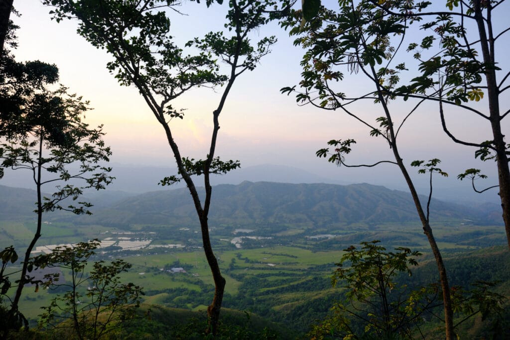Photo of a valley and mountains seen through a few trees.