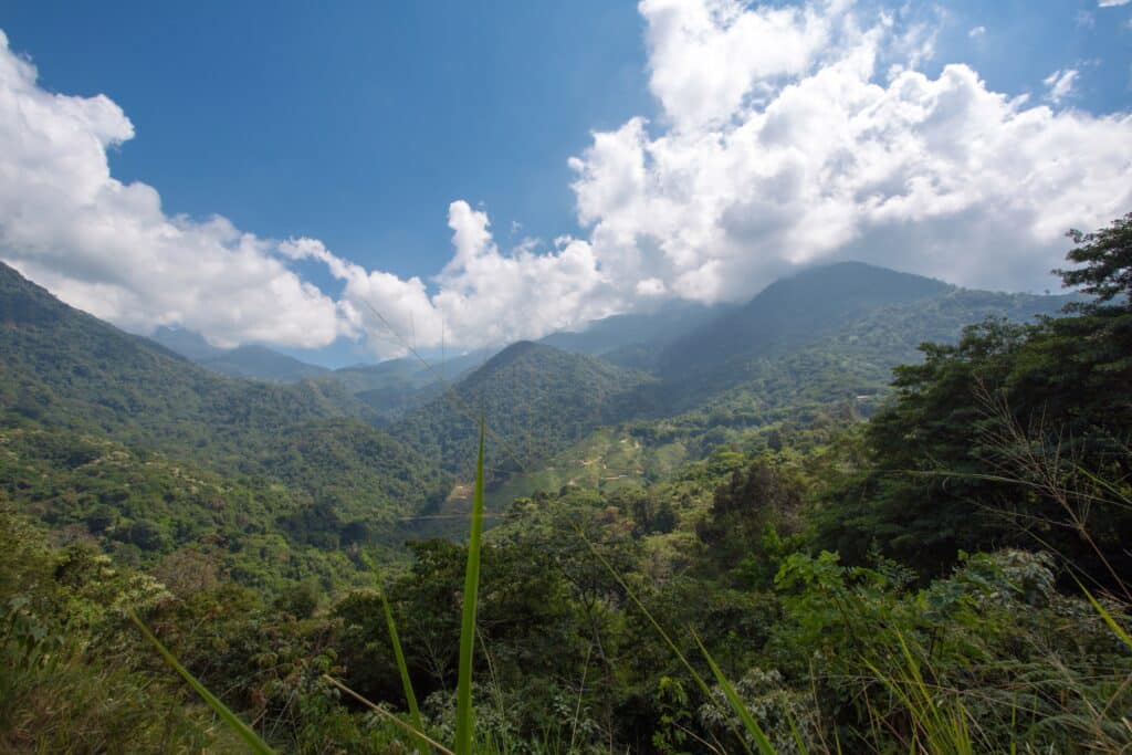 Photo of mountains near a hotel in Minca, Colombia.