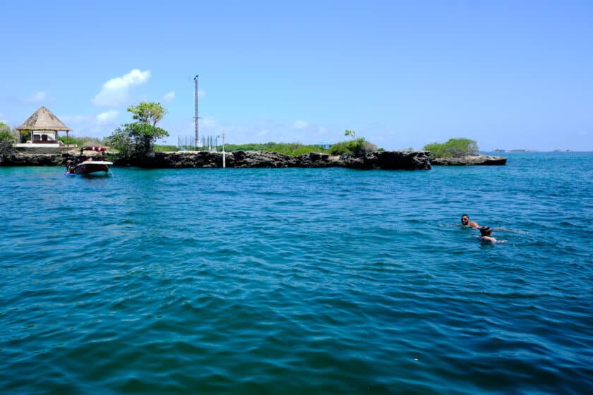 Personas haciendo snorkel durante un tour en las Islas del Rosario.