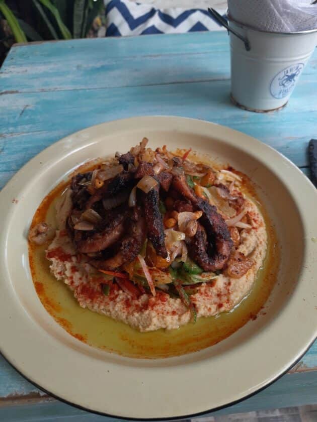 Photo of a plate up close with a grilled octopus on top of vegetables with hummus around it.